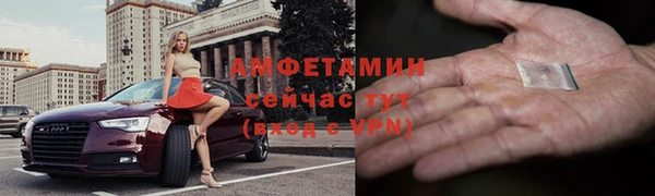 индика Богородицк