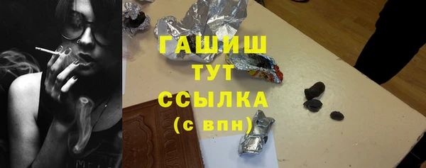 индика Богородицк